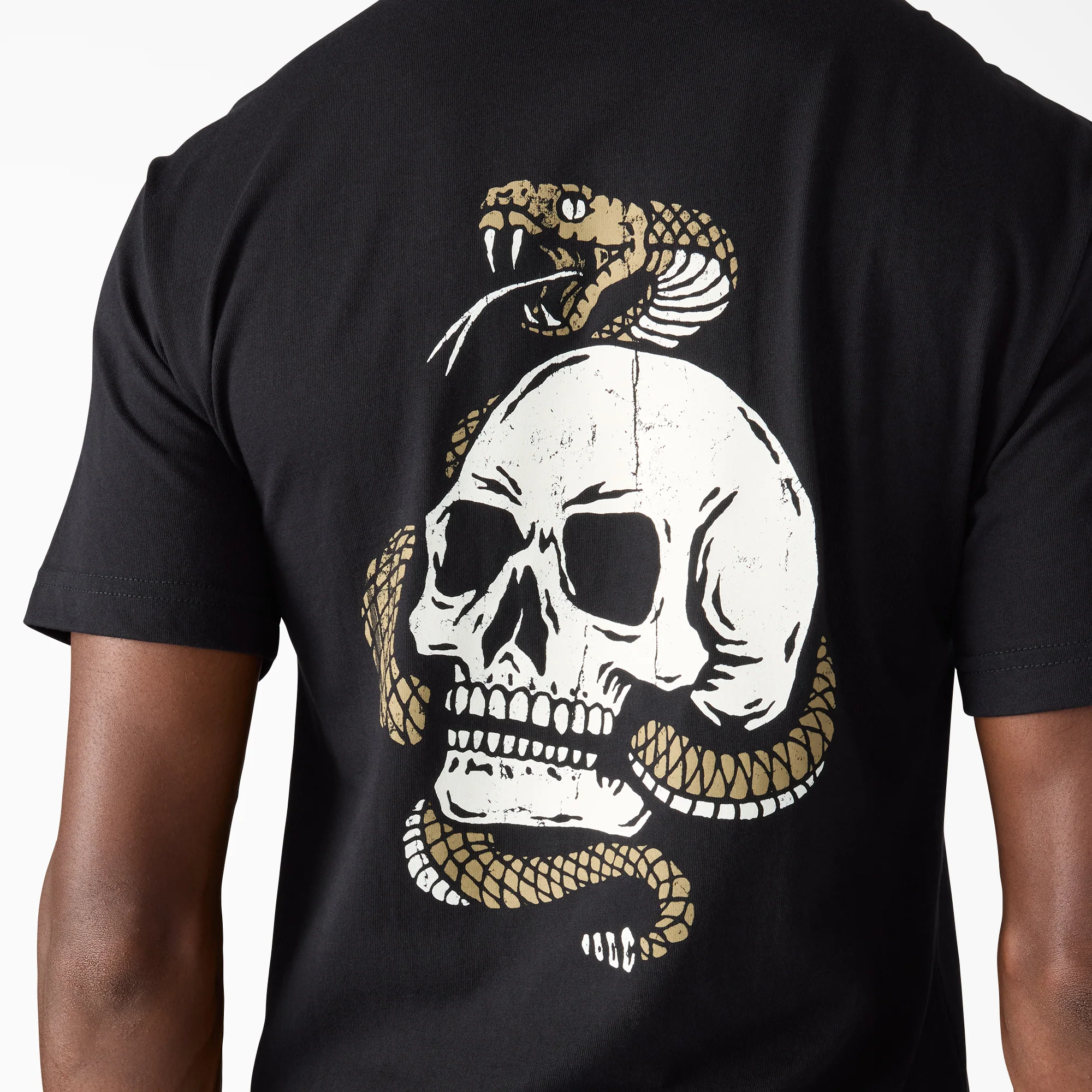 Rattler Graphic T-Shirt 5 Rattler Graphic T-Shirt